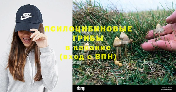 стаф Бородино