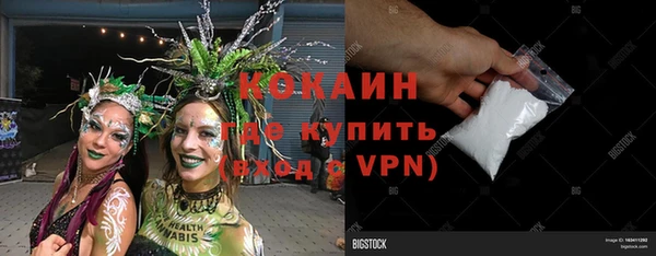 стаф Бородино
