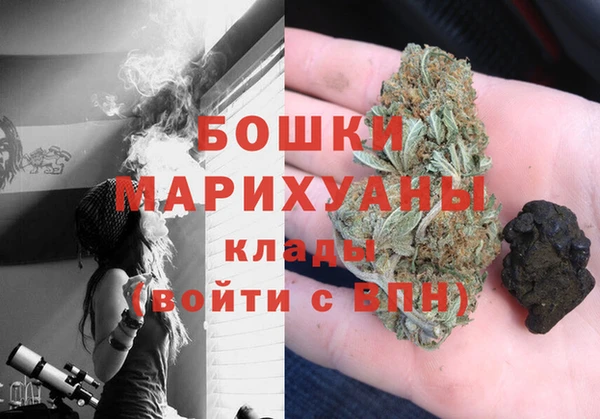 стаф Бородино