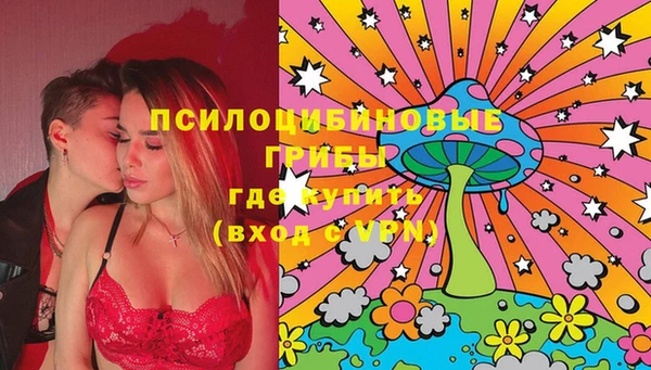 стаф Бородино