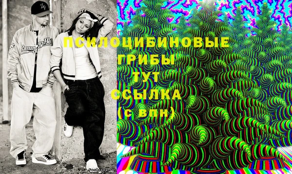 стаф Бородино